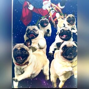 Safe Happy Holidays to all..